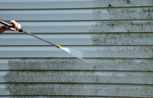 Best Residential Pressure Washing Services  in Goulding, FL